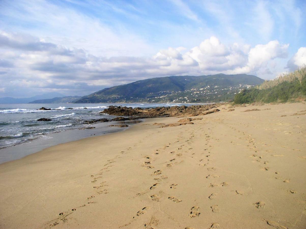 Il Nido Delle Gazze Villa Marina di Camerota Exteriör bild